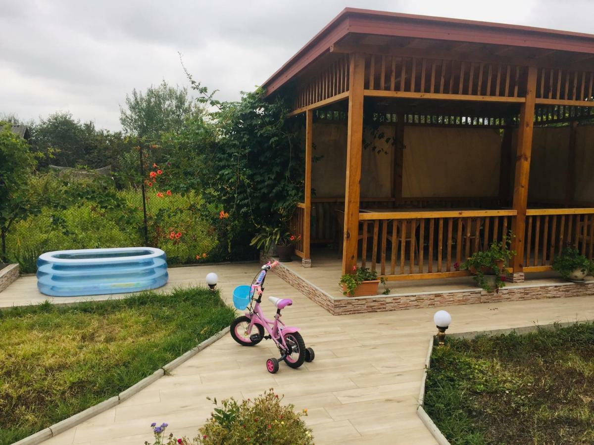 Alvanis Veli K'vemo Alvani Exteriér fotografie